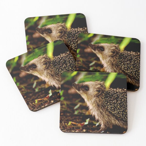 Artikelvorschau, Igel #19 entworfen und verkauft von KingdomWildlife.