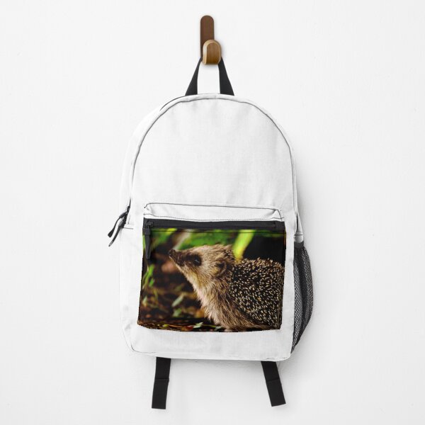 Artikelvorschau, Igel #19 entworfen und verkauft von KingdomWildlife.