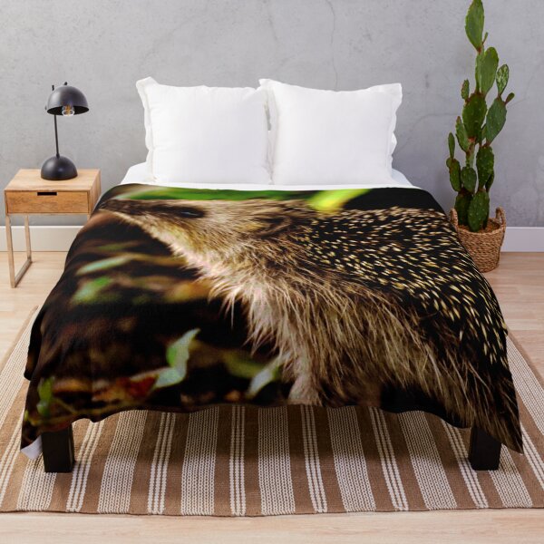 Item preview, Hedgehog #19 designed and sold by KingdomWildlife.