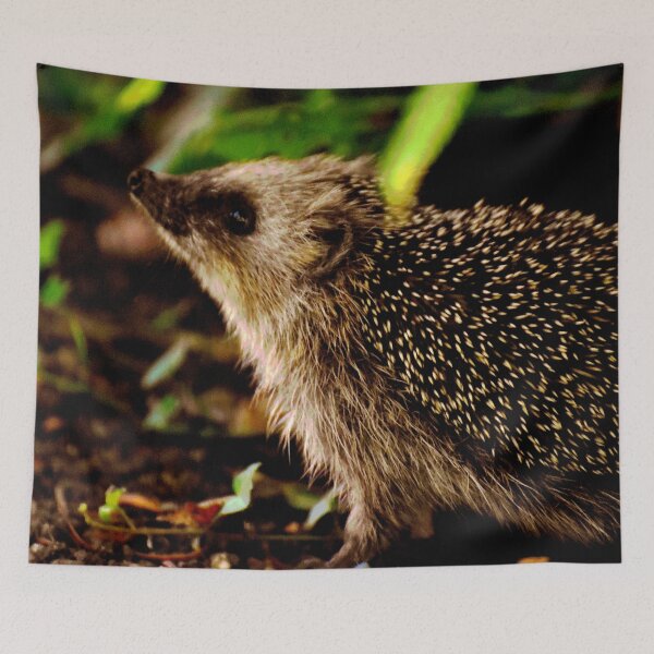 Artikelvorschau, Igel #19 entworfen und verkauft von KingdomWildlife.