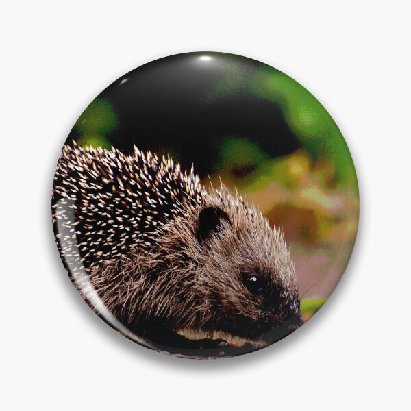 Item preview, Hedgehog #20 designed and sold by KingdomWildlife.
