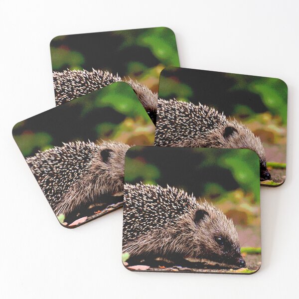 Item preview, Hedgehog #20 designed and sold by KingdomWildlife.