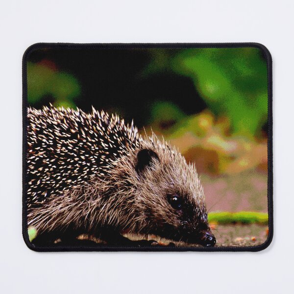 Item preview, Hedgehog #20 designed and sold by KingdomWildlife.
