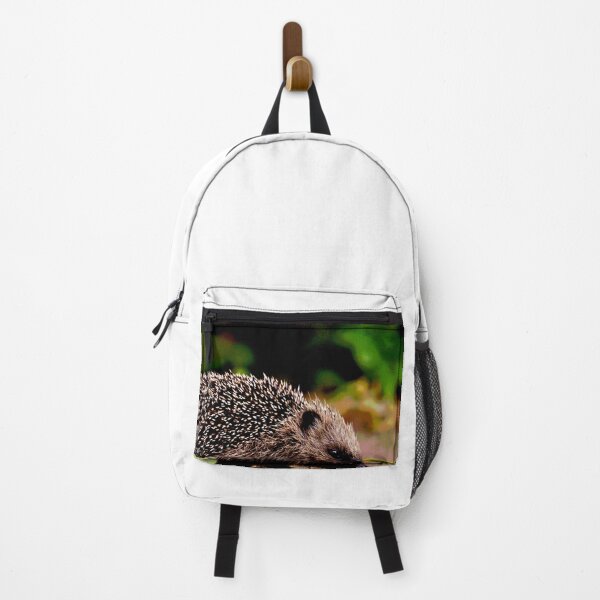 Item preview, Hedgehog #20 designed and sold by KingdomWildlife.