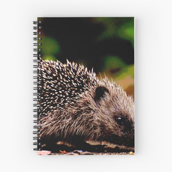 Item preview, Hedgehog #20 designed and sold by KingdomWildlife.