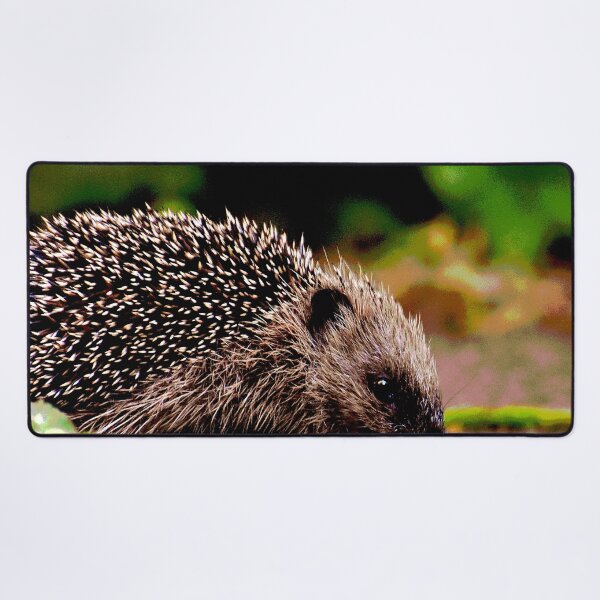Artikelvorschau, Igel #20 entworfen und verkauft von KingdomWildlife.