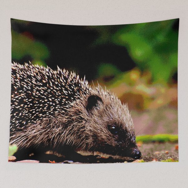 Item preview, Hedgehog #20 designed and sold by KingdomWildlife.
