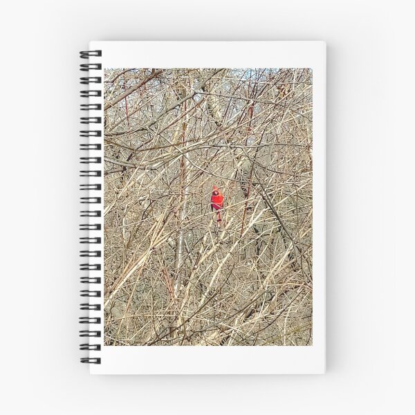 Item preview, Cardinal's Cage of Bare Branches designed and sold by IndigoArtistic.