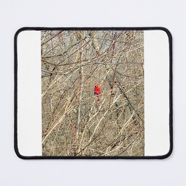 Item preview, Cardinal's Cage of Bare Branches designed and sold by IndigoArtistic.