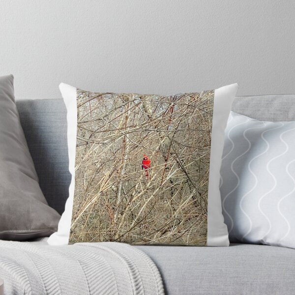 Item preview, Cardinal's Cage of Bare Branches designed and sold by IndigoArtistic.