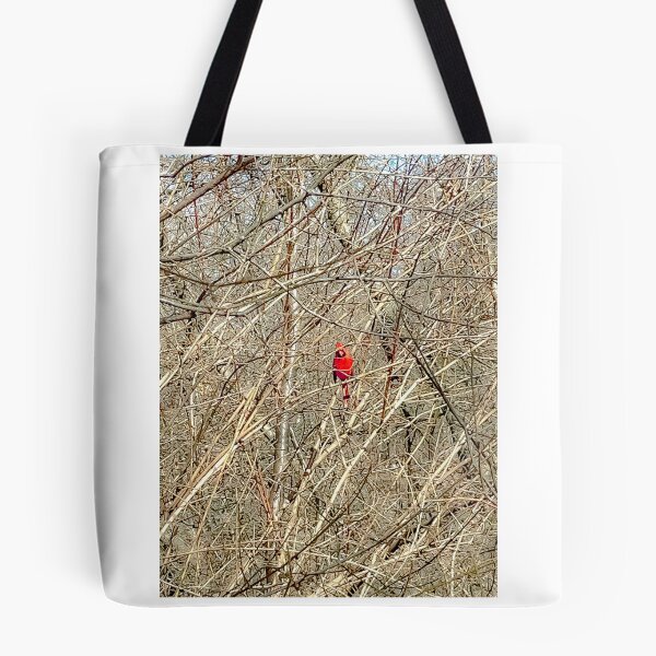 Item preview, Cardinal's Cage of Bare Branches designed and sold by IndigoArtistic.