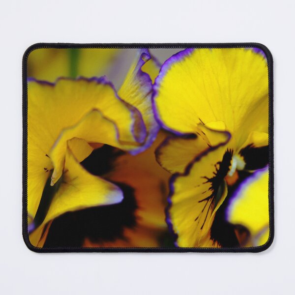 Item preview, Beaming Pansies designed and sold by Debbie Oppermann.