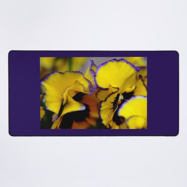 Item preview, Beaming Pansies designed and sold by Debbie Oppermann.