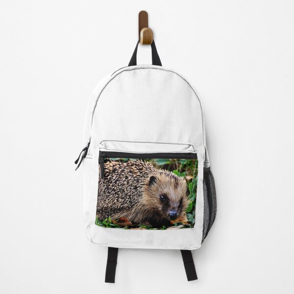 Item preview, Hedgehog #24 designed and sold by KingdomWildlife.