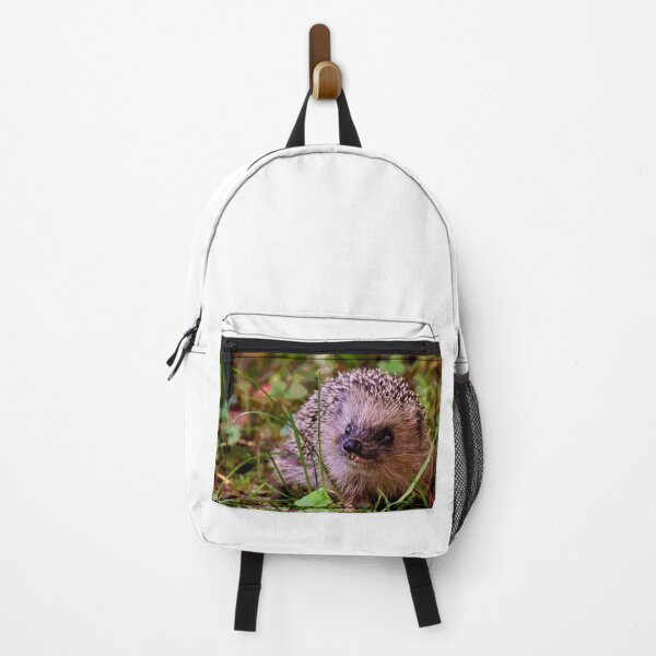 Item preview, Hedgehog #25 designed and sold by KingdomWildlife.