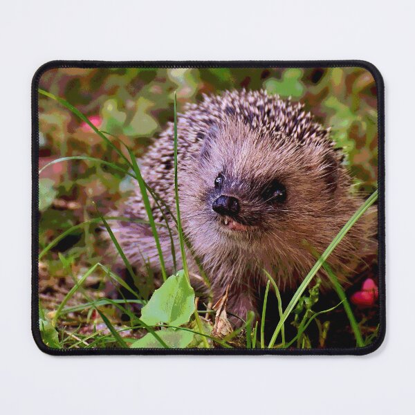 Artikelvorschau, Igel #25 entworfen und verkauft von KingdomWildlife.