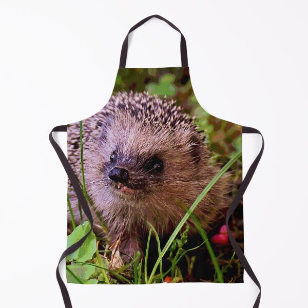 Artikelvorschau, Igel #25 entworfen und verkauft von KingdomWildlife.