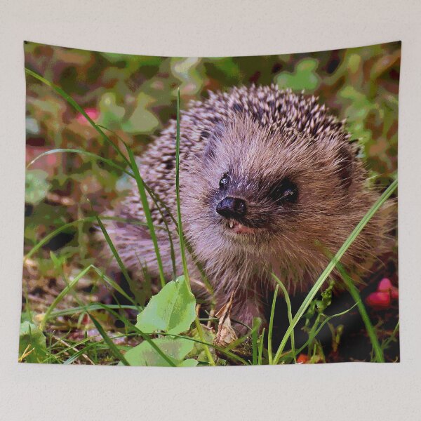 Artikelvorschau, Igel #25 entworfen und verkauft von KingdomWildlife.