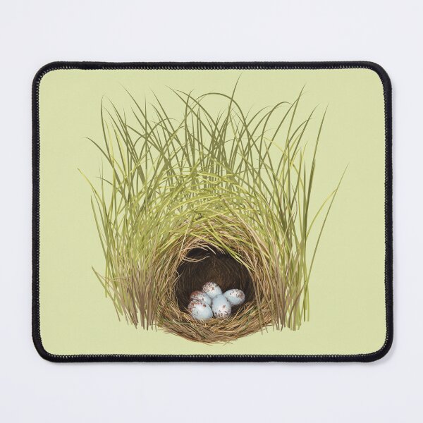 Item preview, Eastern Meadowlark Nest and Eggs Grassland Bird designed and sold by Nick Garnhart.
