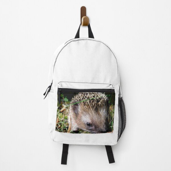 Item preview, Hedgehog #26 designed and sold by KingdomWildlife.
