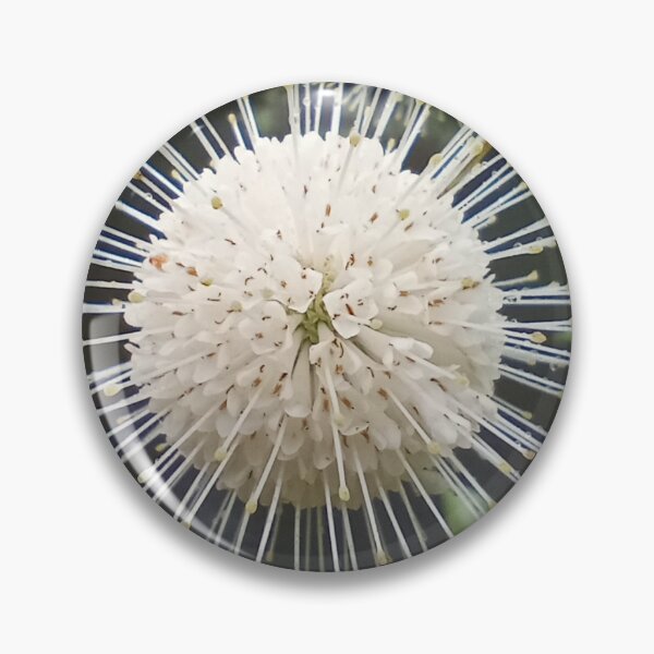 Item preview, Buttonbush designed and sold by Bmusicjr.