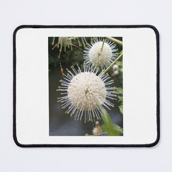 Item preview, Buttonbush designed and sold by Bmusicjr.