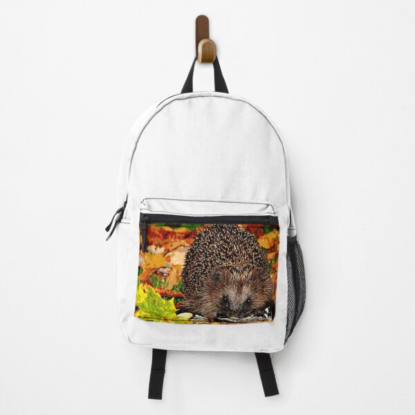 Item preview, Hedgehog #27 designed and sold by KingdomWildlife.