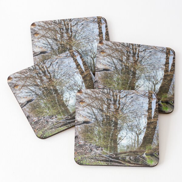 Item preview, Reflected World designed and sold by Vicki Spindler (VHS Photography).
