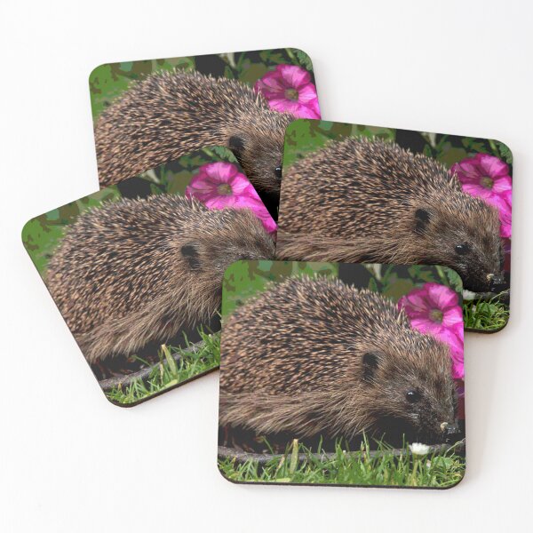 Item preview, Hedgehog #28 designed and sold by KingdomWildlife.