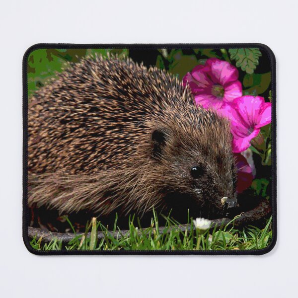 Item preview, Hedgehog #28 designed and sold by KingdomWildlife.