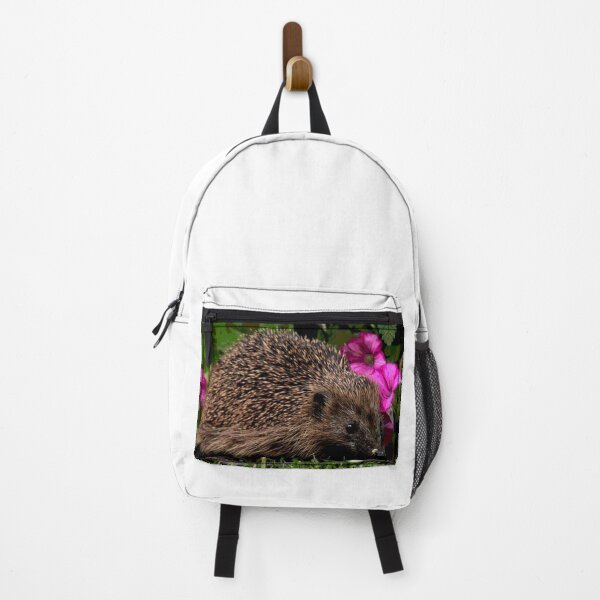 Item preview, Hedgehog #28 designed and sold by KingdomWildlife.