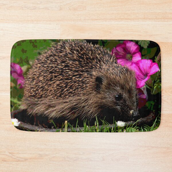 Item preview, Hedgehog #28 designed and sold by KingdomWildlife.