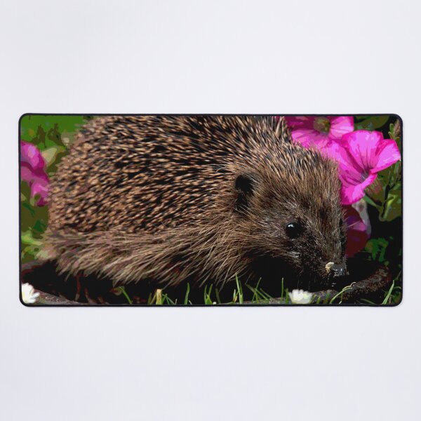 Item preview, Hedgehog #28 designed and sold by KingdomWildlife.