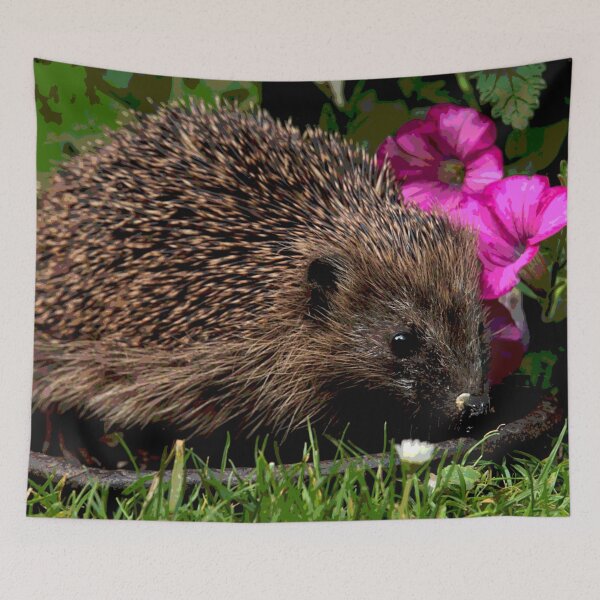Item preview, Hedgehog #28 designed and sold by KingdomWildlife.