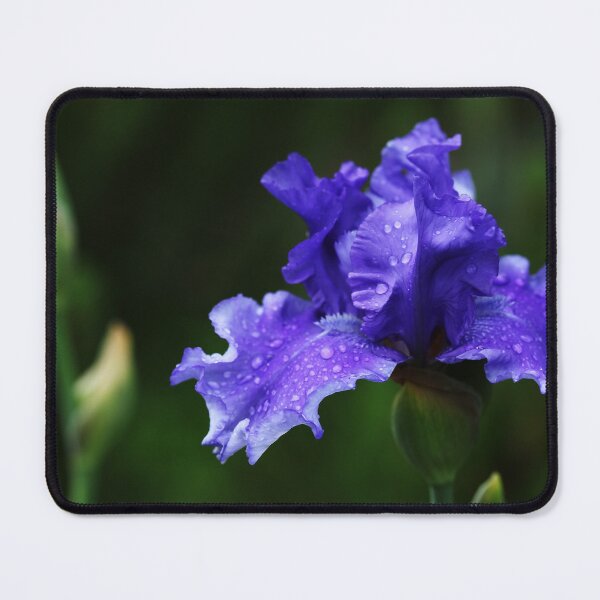 Item preview, Purple Rain designed and sold by Debbie Oppermann.
