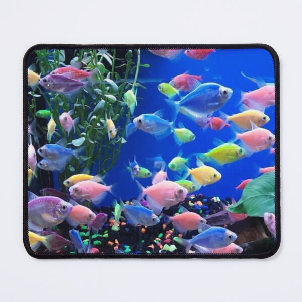 Item preview, Colorful fish designed and sold by Artistkhg.
