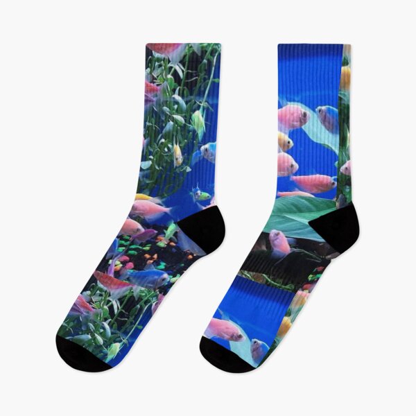 Item preview, Colorful fish designed and sold by Artistkhg.