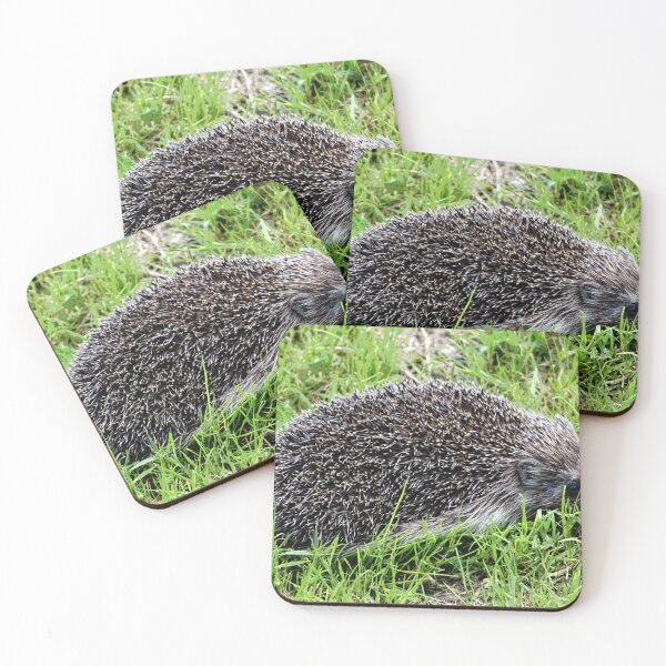 Artikelvorschau, Igel #29 entworfen und verkauft von KingdomWildlife.