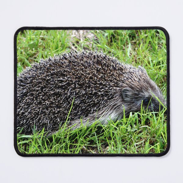 Artikelvorschau, Igel #29 entworfen und verkauft von KingdomWildlife.