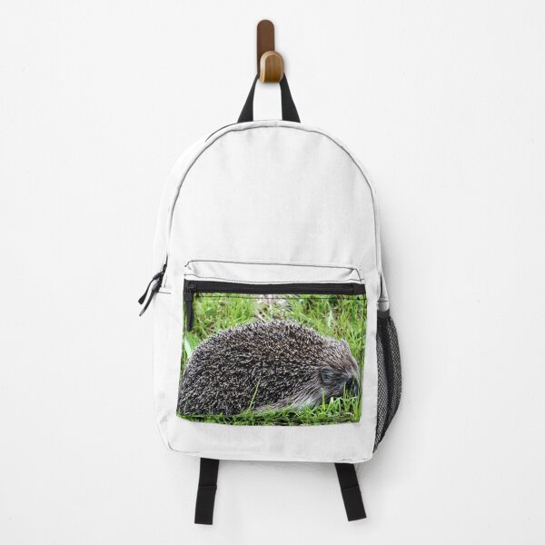 Item preview, Hedgehog #29 designed and sold by KingdomWildlife.