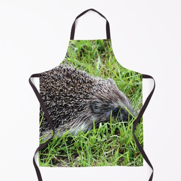 Artikelvorschau, Igel #29 entworfen und verkauft von KingdomWildlife.
