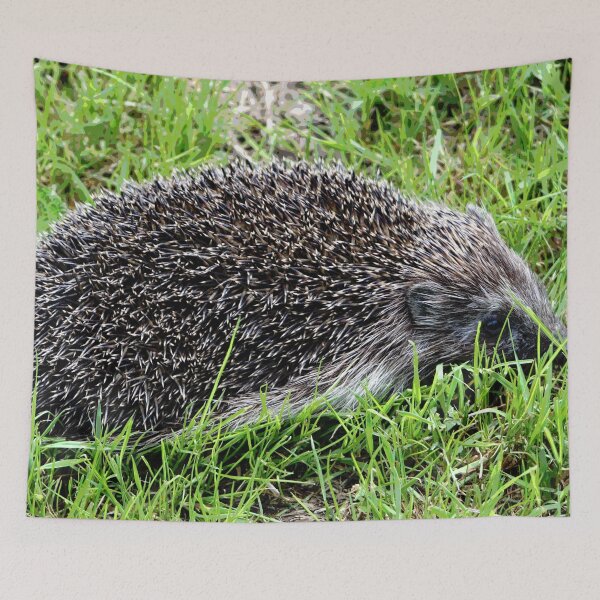 Artikelvorschau, Igel #29 entworfen und verkauft von KingdomWildlife.