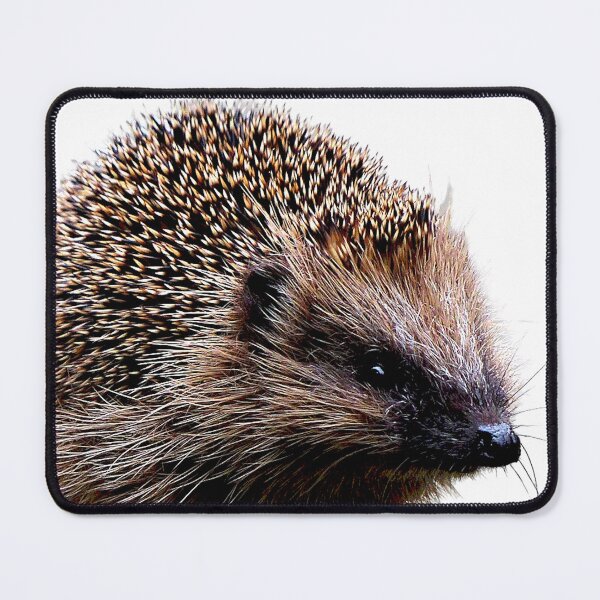 Item preview, Hedgehog #30 designed and sold by KingdomWildlife.