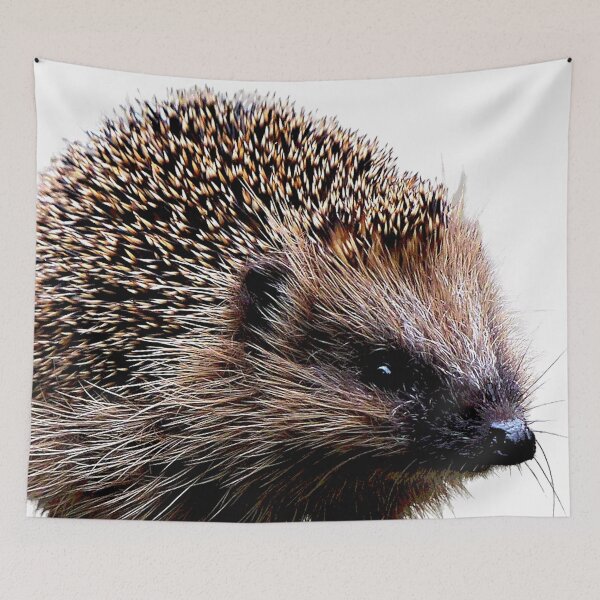 Item preview, Hedgehog #30 designed and sold by KingdomWildlife.