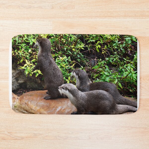 Item preview, "Three Otterly Magnificent Otters: A Playful Trio" designed and sold by A-Work-Of-Art.
