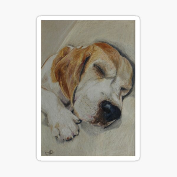 Sleepy Beagle Sticker