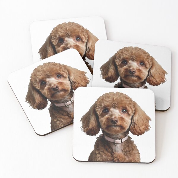 Item preview, Adorable Brown Poodle is Intelligent, elegant, and playful dog designed and sold by terrasirius.