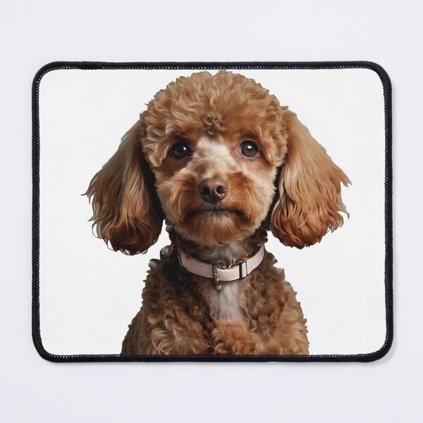 Item preview, Adorable Brown Poodle is Intelligent, elegant, and playful dog designed and sold by terrasirius.