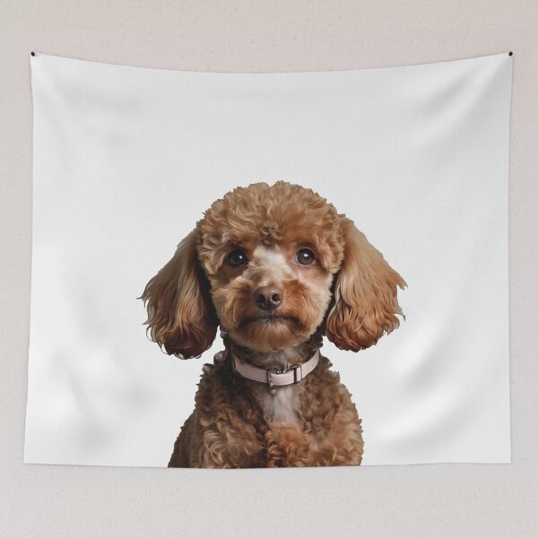Item preview, Adorable Brown Poodle is Intelligent, elegant, and playful dog designed and sold by terrasirius.