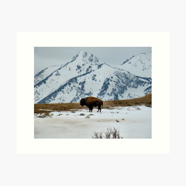 'You Say the Battle Is Over..." Art Print